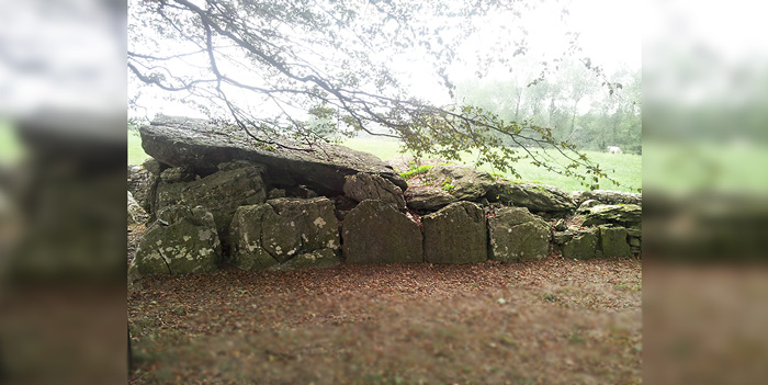 Labbacallee wedge tomb, Cork.