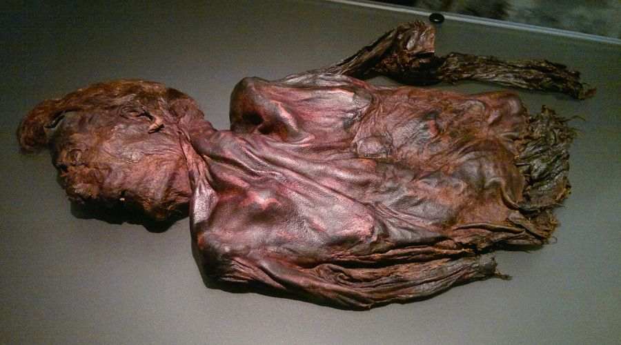 Irish Iron Age bog body “Clonycavan Man” wore exotic hair gel.