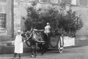 Delivering Christmas trees in Waterford city in 1929.