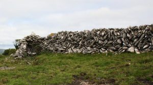 The ancient Irish practice of dry stone wall construction has been added to UNESCO’s list of intangible cultural heritage.