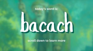 Say lame and beggar in Irish: bacach.