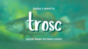 Say cod in Irish: trosc.