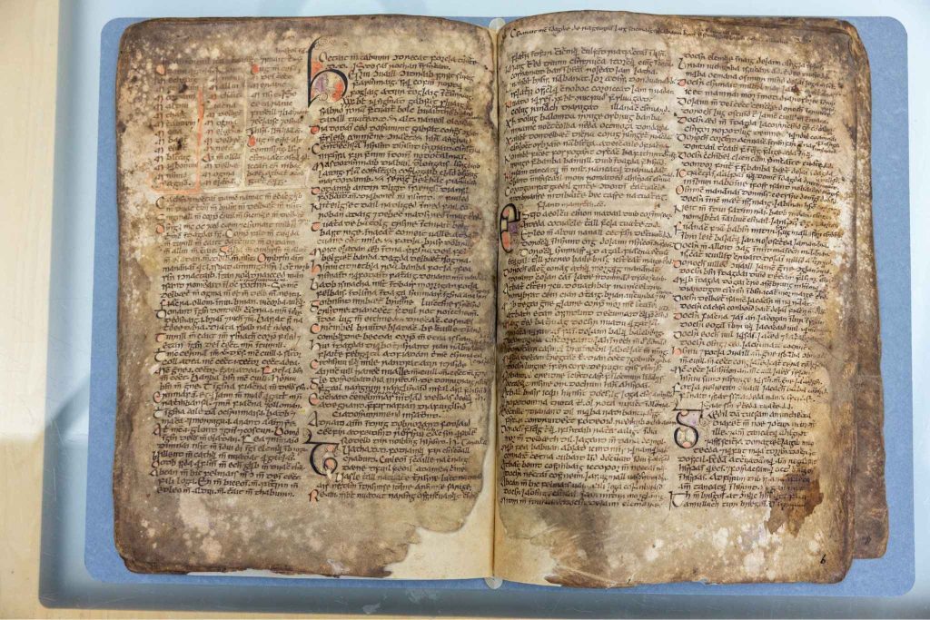Book of Leinster.