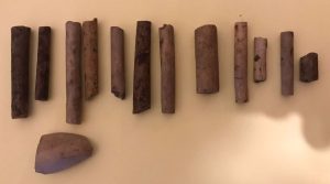 Finds from Sligo’s Green Fort excavation.