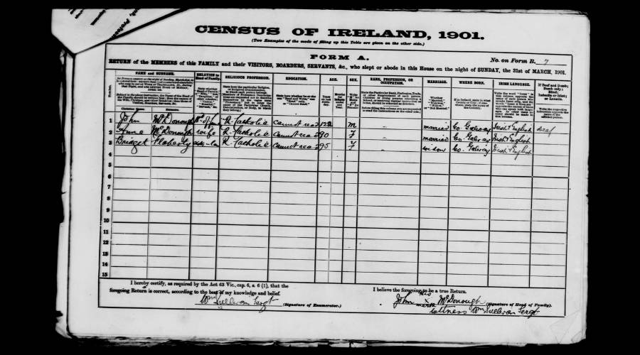 1901 census return for the McDonough household in Drimmeen, Co. Galway.