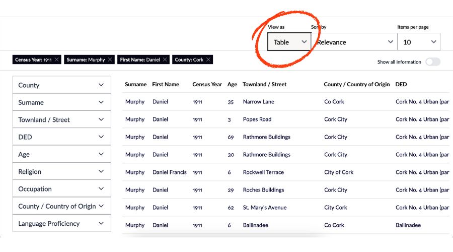 Table view for Irish census records results